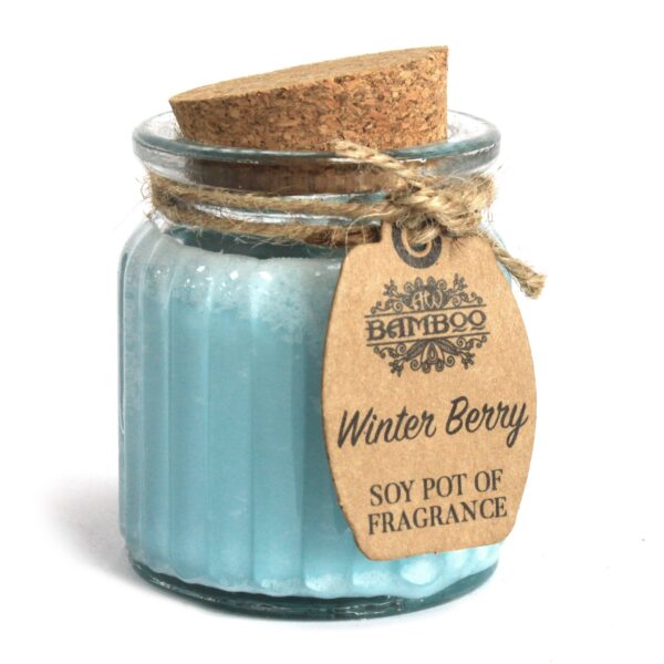 2 x Winter Berry Candles SoyP-05