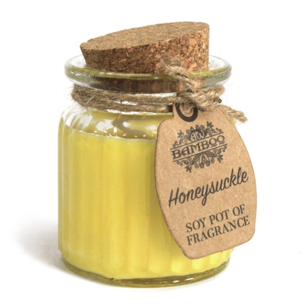 2 x Honeysuckle Candles SoyP-06