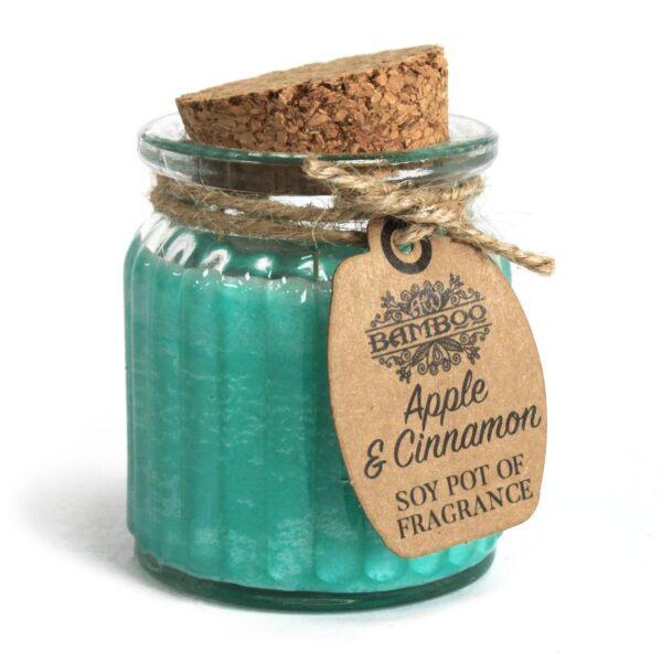 2 x Apple & Cinnamon Candles SoyP-11