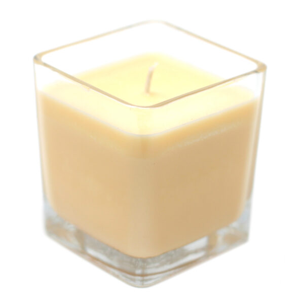 White Label Soy Wax Jar Candle - So Delicious WLSoyC-08