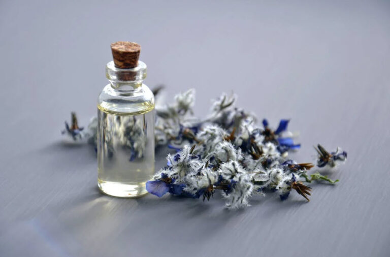 A Beginner’s Guide to Essential Oils: What Are They and How to Use Them