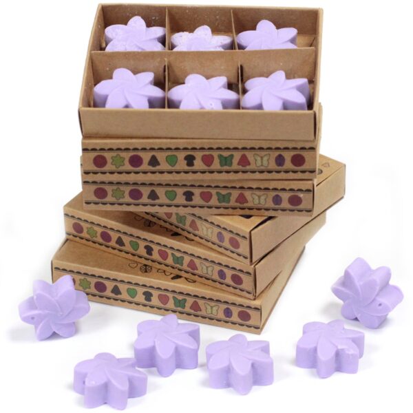 Box of 6  Wax Melts - Lavender Fields LWMelt-01