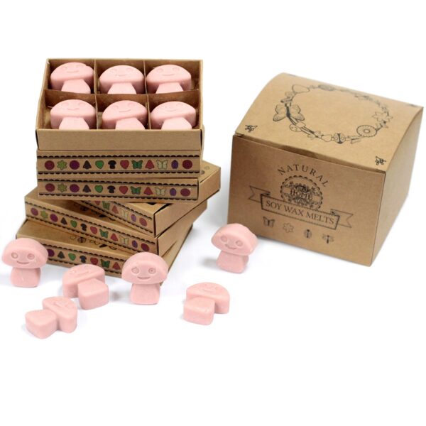 Box of 6  Wax Melts - Coffee Trader LWMelt-04