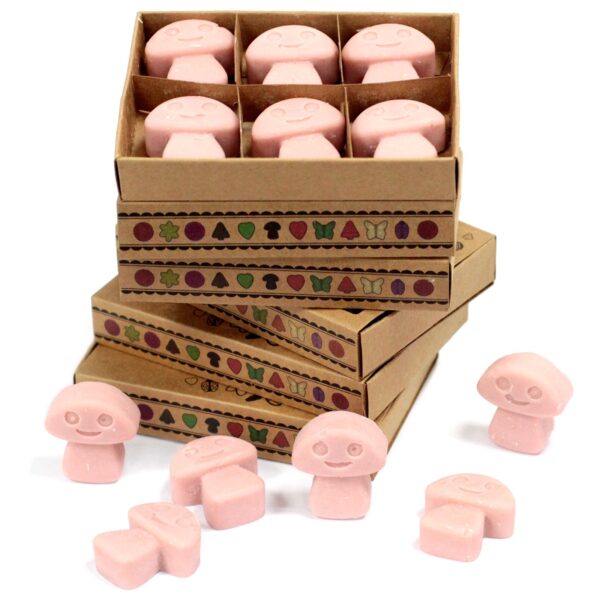 Box of 6  Wax Melts - Coffee Trader LWMelt-04 - Image 2