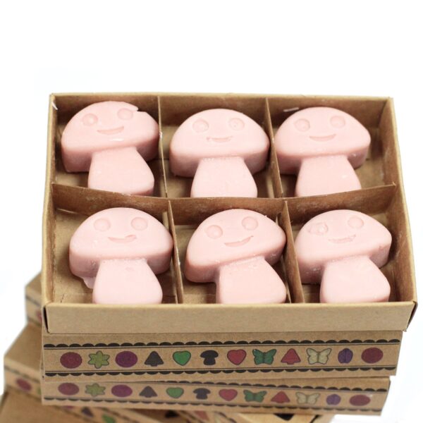 Box of 6  Wax Melts - Coffee Trader LWMelt-04 - Image 3