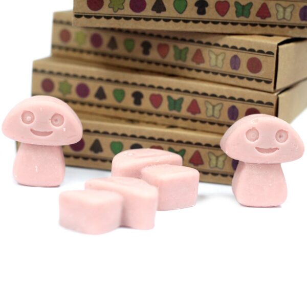 Box of 6  Wax Melts - Coffee Trader LWMelt-04 - Image 4
