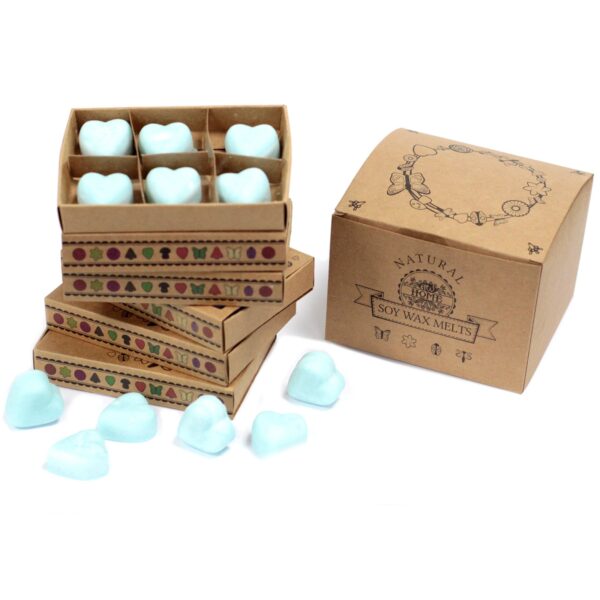 Box of 6  Wax Melts - Nagchampa LWMelt-07