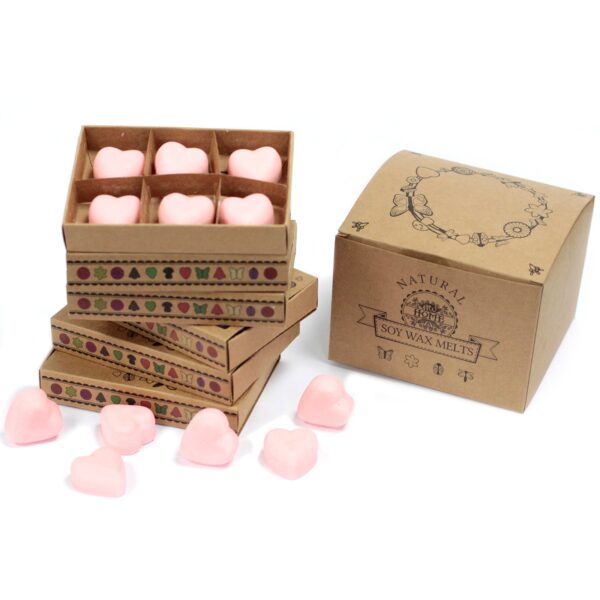 Box of 6  Wax Melts - Dragon's Blood LWMelt-08