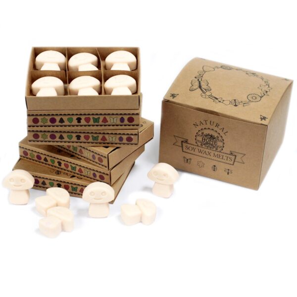 Box of 6 Wax Melts - Vanilla Nutmeg LWMelt-10