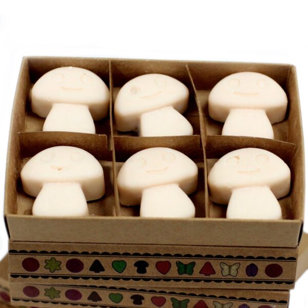 Box of 6 Wax Melts - Vanilla Nutmeg LWMelt-10 - Image 3