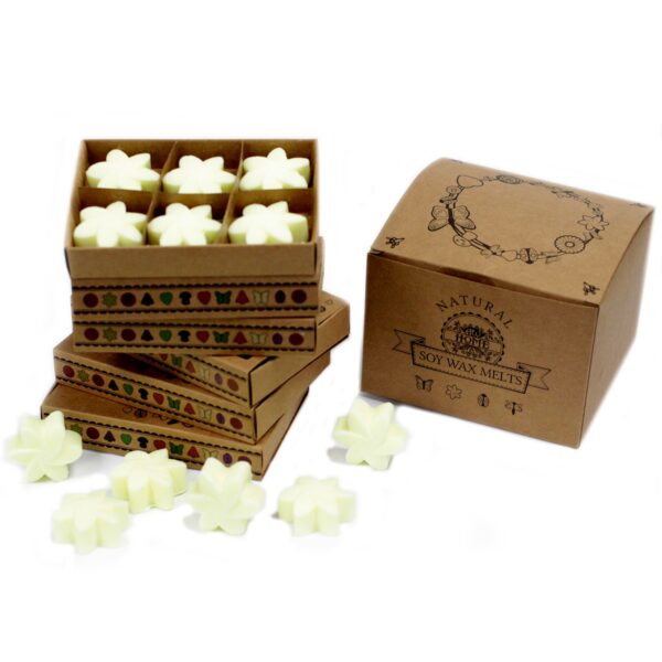 Box of 6  Wax Melts - Lemon Harvest LWMelt-11