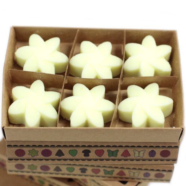 Box of 6  Wax Melts - Lemon Harvest LWMelt-11 - Image 3