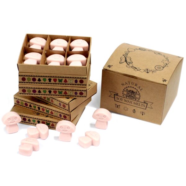 Box of 6  Wax Melts - Old Ginger LWMelt-12
