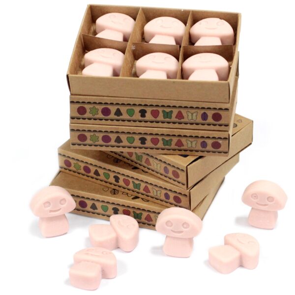 Box of 6  Wax Melts - Old Ginger LWMelt-12 - Image 2