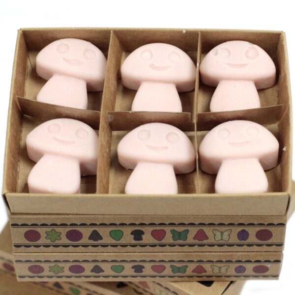 Box of 6  Wax Melts - Old Ginger LWMelt-12 - Image 3