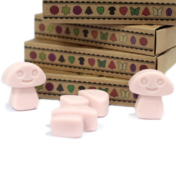 Box of 6  Wax Melts - Old Ginger LWMelt-12 - Image 4
