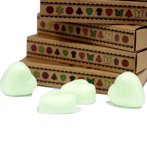 Box of 6 Wax Melts - Watermelon Fresh LWMelt-13 - Image 3