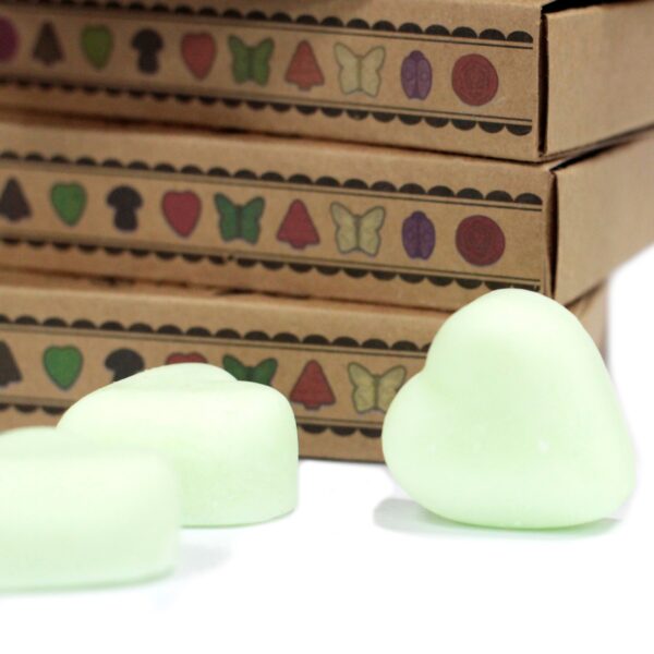 Box of 6 Wax Melts - Watermelon Fresh LWMelt-13 - Image 4