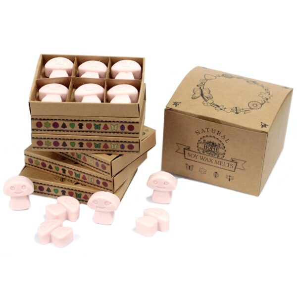 Box of 6  Wax Melts - Dark Sandalwood LWMelt-16