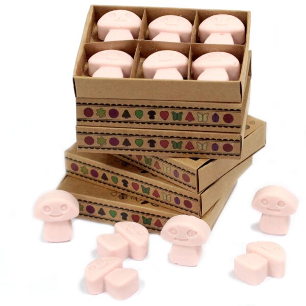 Box of 6  Wax Melts - Dark Sandalwood LWMelt-16 - Image 2