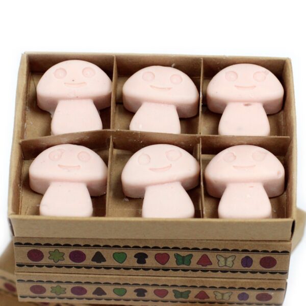 Box of 6  Wax Melts - Dark Sandalwood LWMelt-16 - Image 3