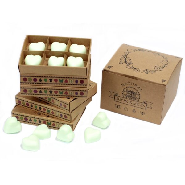 Box of 6  Wax Melts - Mint & Menthol LWMelt-17