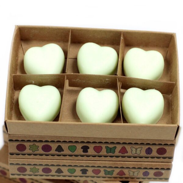 Box of 6  Wax Melts - Mint & Menthol LWMelt-17 - Image 3