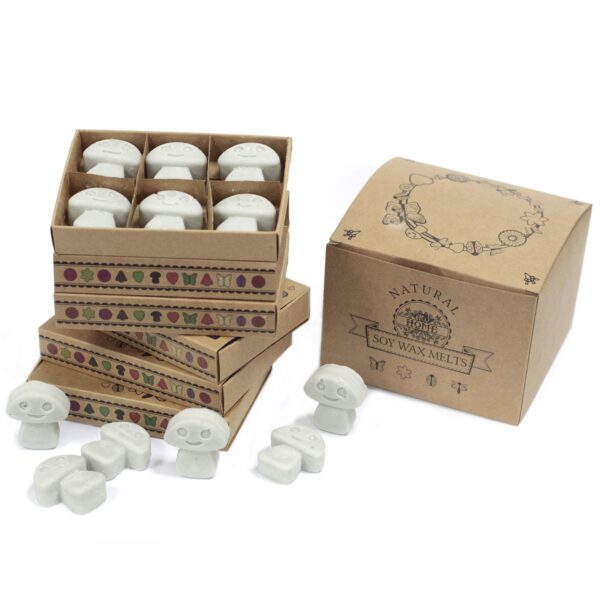 Box of 6  Wax Melts - Dark Patchouli LWMelt-18