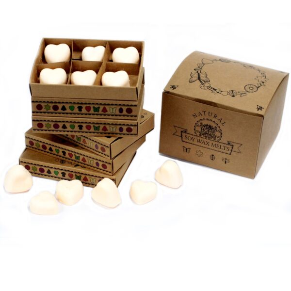Box of 6  Wax Melts - Cinnamon & Orange LWMelt-21