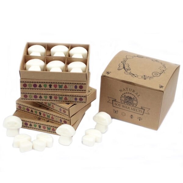 Box of 6 Wax Melts - White Musk LWMelt-22