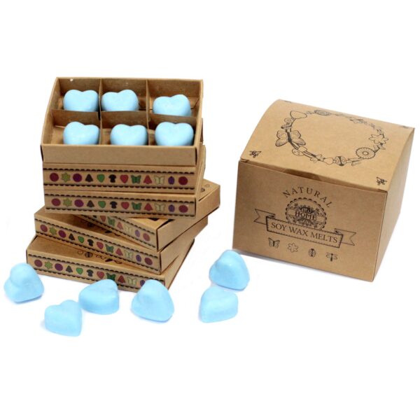 Box of 6 Wax Melts - Dewberry LWMelt-23