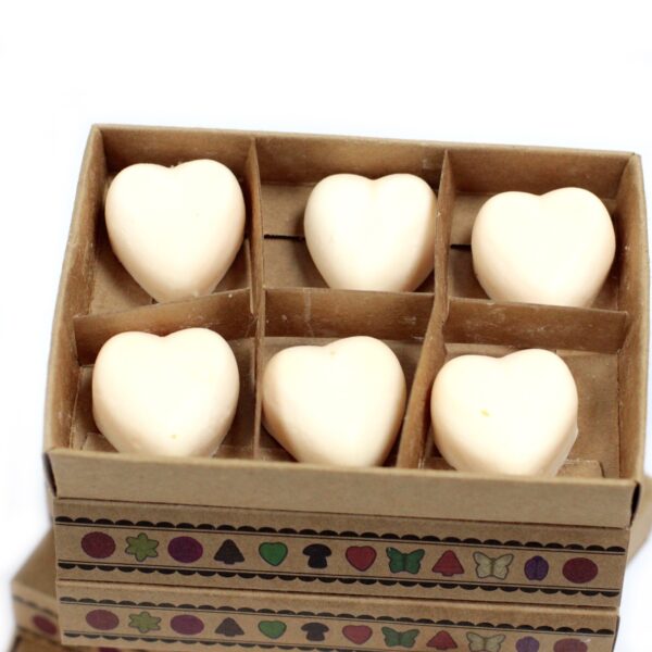 Box of 6  Wax Melts - Cinnamon & Orange LWMelt-21 - Image 2