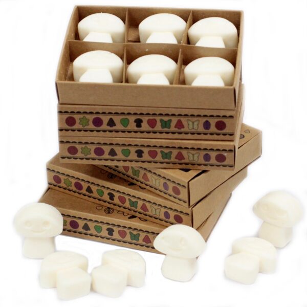 Box of 6 Wax Melts - White Musk LWMelt-22 - Image 2