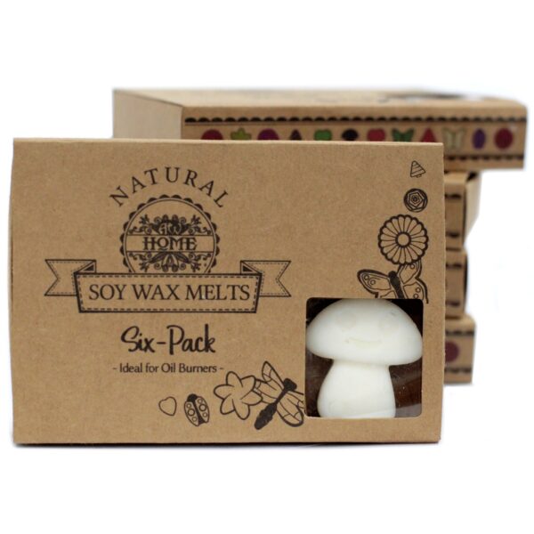 Box of 6 Wax Melts - White Musk LWMelt-22 - Image 3