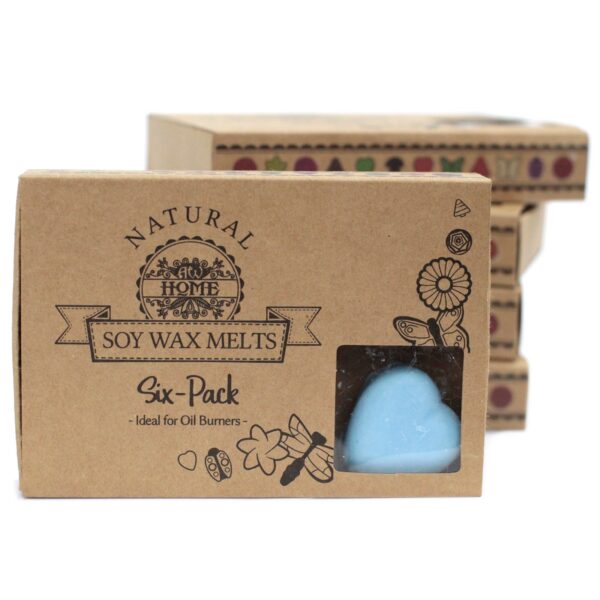 Box of 6 Wax Melts - Dewberry LWMelt-23 - Image 4