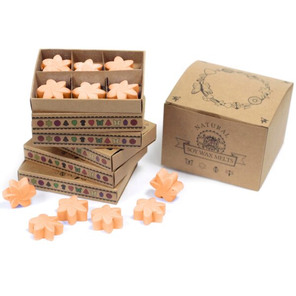 Box of 6  Wax Melts - Mango Fruits LWMelt-09