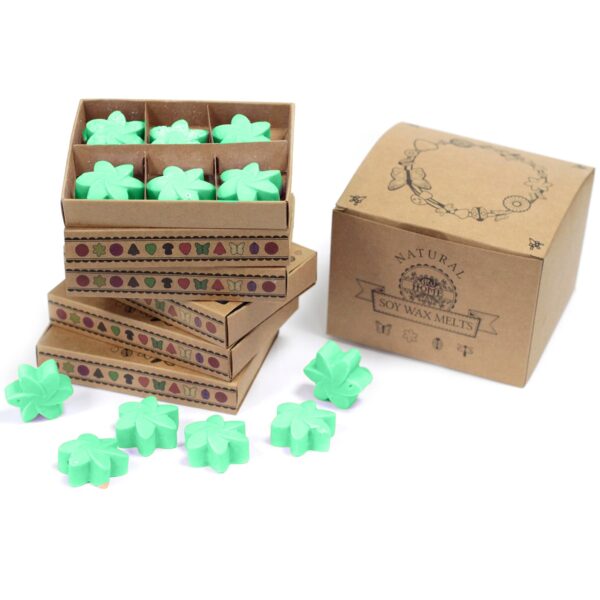 Box of 6  Wax Melts - Hidden Garden LWMelt-20