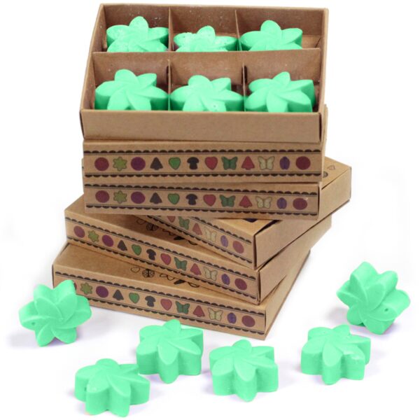 Box of 6  Wax Melts - Hidden Garden LWMelt-20 - Image 2