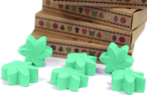Box of 6  Wax Melts - Hidden Garden LWMelt-20 - Image 3