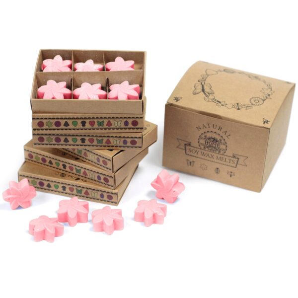 Box of 6 Wax Melts - Classic Rose LWMelt-15