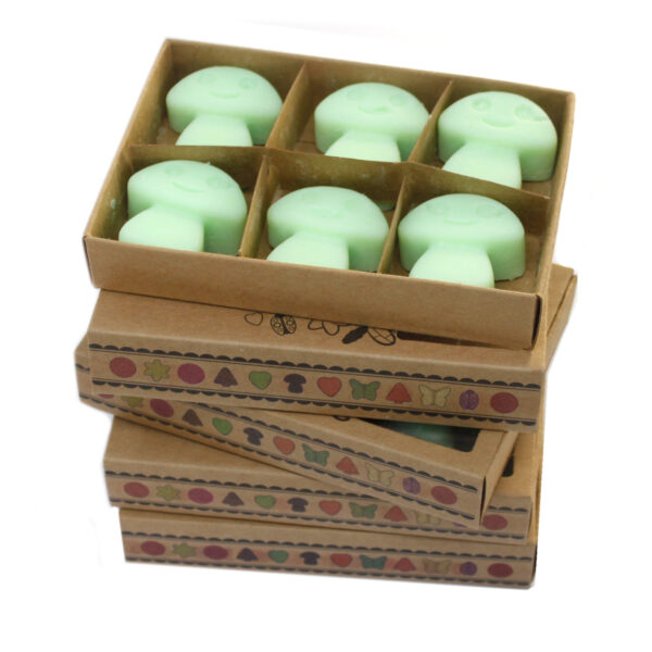 Box of 6  Wax Melts - Liquorice LWMelt-06