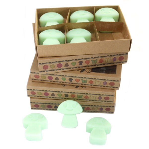 Box of 6  Wax Melts - Liquorice LWMelt-06 - Image 2