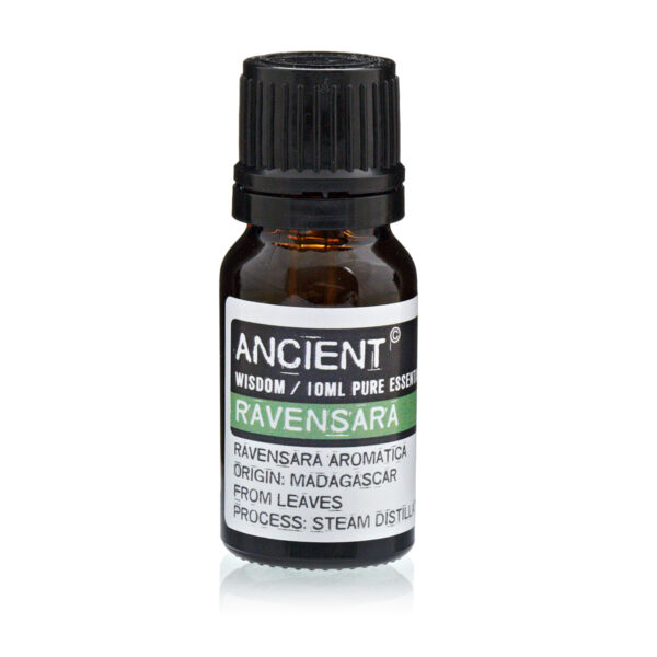 10 ml Ravensara Essential Oil EO-74 - Image 2