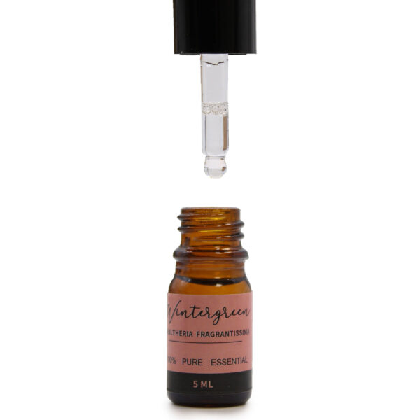Aromatherapy Essential Oil Set - The Top 12 EOSet-02 - Image 4